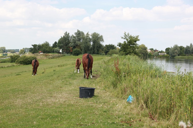 klik voor volgend beeld